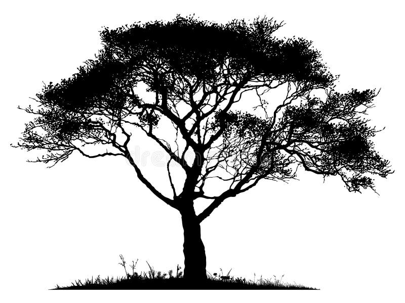 Silueta unui arbore singuratic stock illustration