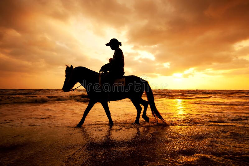 Silhouette man and horse on the beach with sunset sky