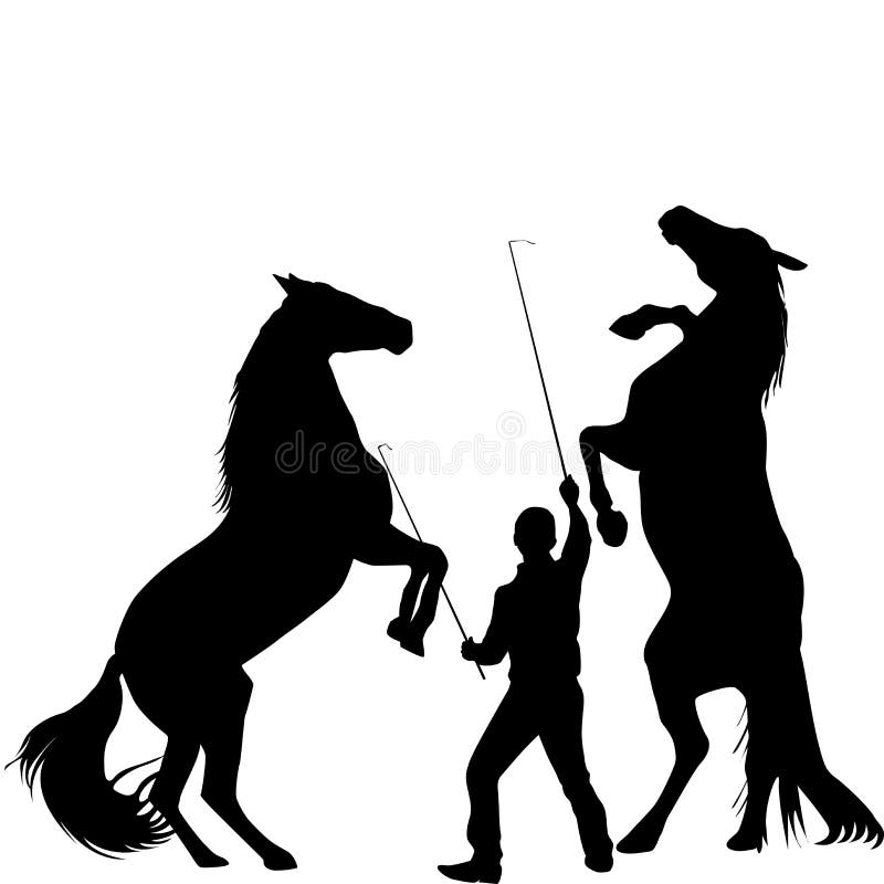 Silhouette of a man training two horses to rearing up royalty free illustration Silhouette of a man training two horses to rearing up royalty free illustration