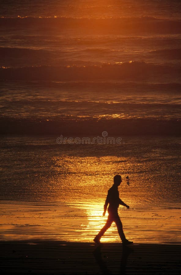 Silhouette of man walking on beach at sunset