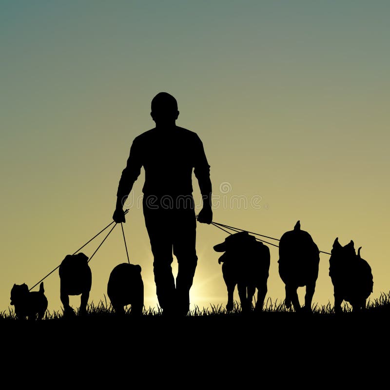 Silhouette of man walking dogs at sunset template