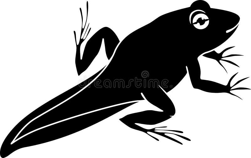 Silhouette noire de jeune grenouille avec la queue illustration libre de droits Silhouette noire de jeune grenouille avec la queue illustration libre de droits