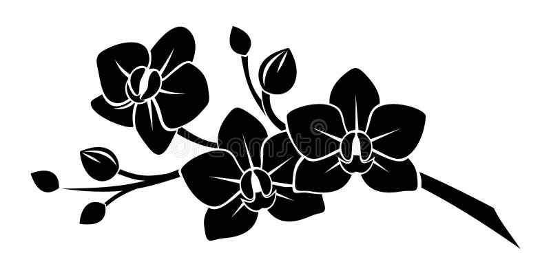 Silhouette noire des fleurs d'orchidée.