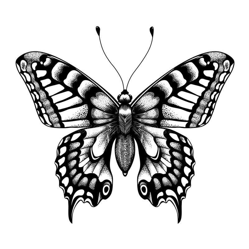 1,900+ Butterfly silhouette Free Stock Photos - StockFreeImages