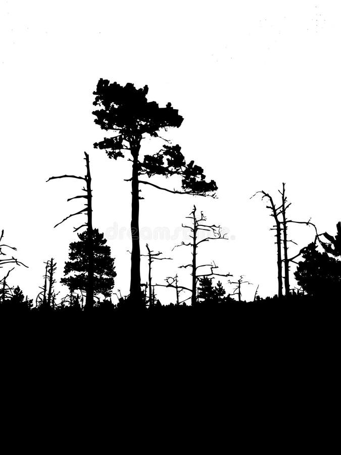 Silhouette old wood