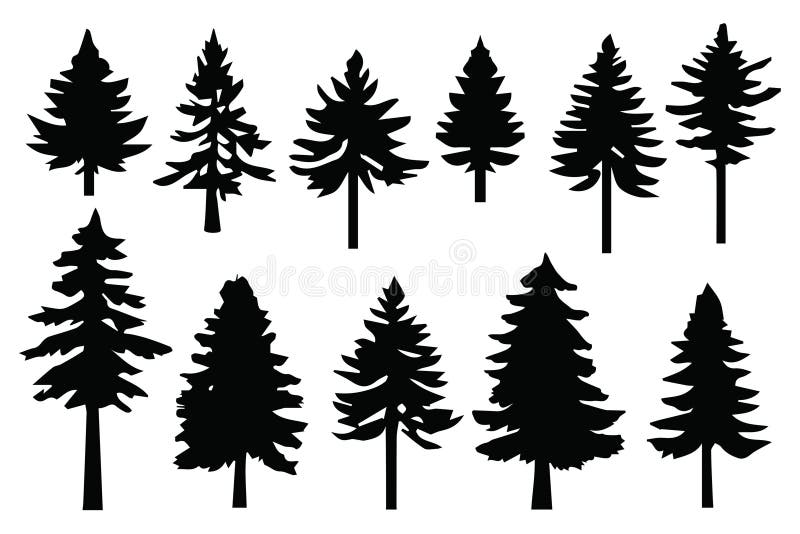 Silhouette pines trees collections. Abstract vector. vector illustration