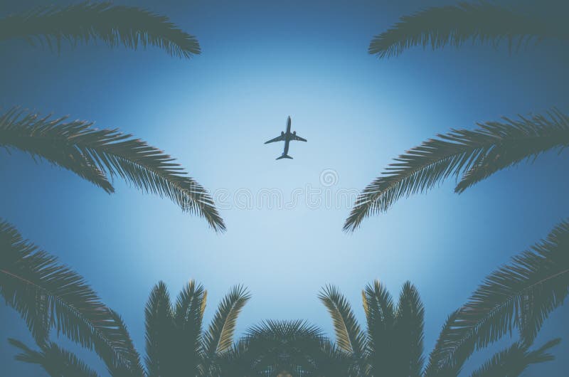 Silhouette of a plane taking off and tropical palm trees on a blue background. Air travel and recreation in the tropics.