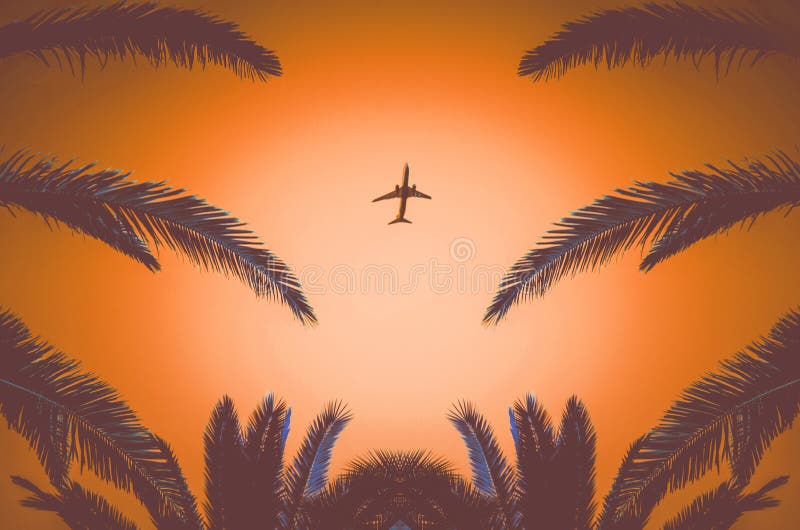 Silhouette Of A Plane Taking Off And Tropical Palm Trees On A Orange Background. Air Travel And Recreation In Tropics