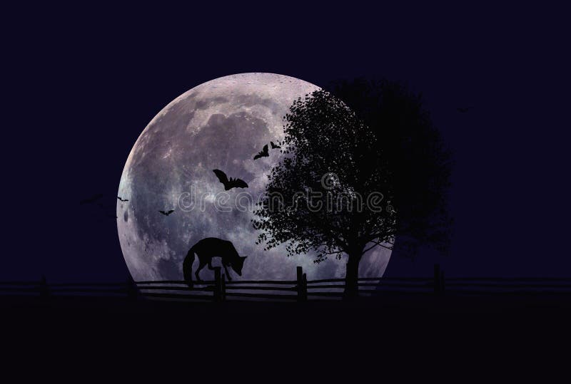 189 Fox Moon Photos - Free & Royalty-Free Stock Photos from Dreamstime