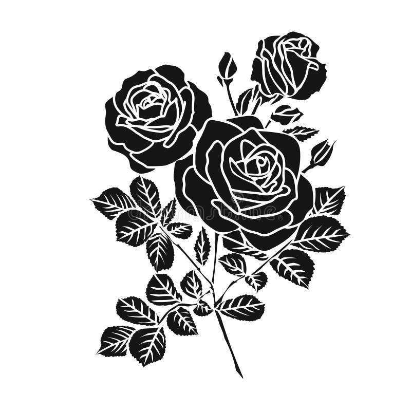 Rose stencil on white background Royalty Free Vector Image
