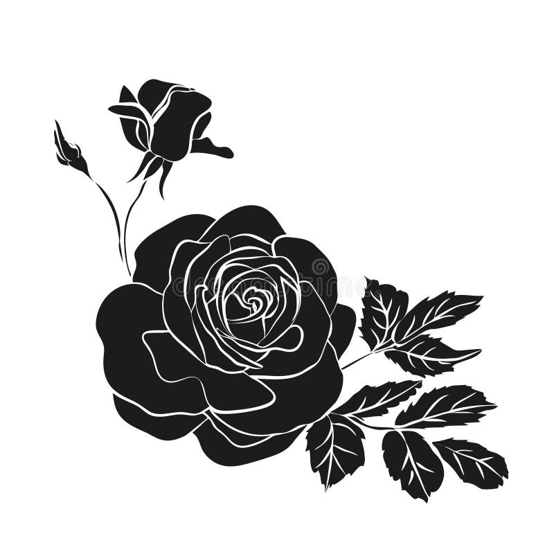 Silhouette of rose stock illustration. Illustration of head - 49516127