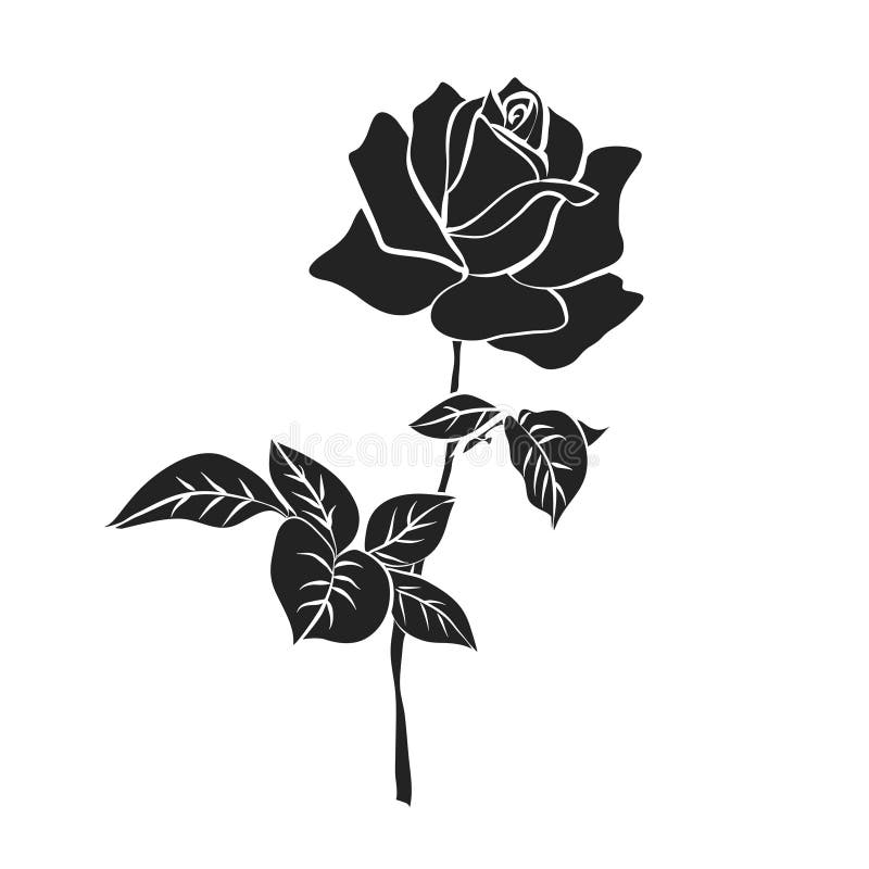 Silhouette of rose stock illustration. Illustration of head 49516127