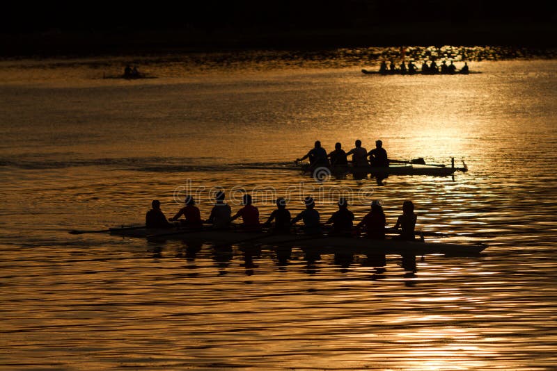 Silhouette rowers on water at sunrise