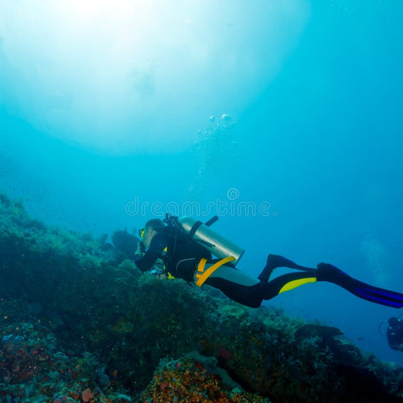 Silhouette of Scuba Diver near Sea Bottom stock photography Silhouette of Scuba Diver near Sea Bottom stock photography