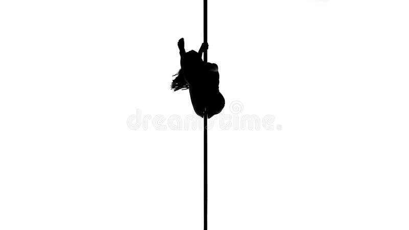 Silhouette of a female pole dancing