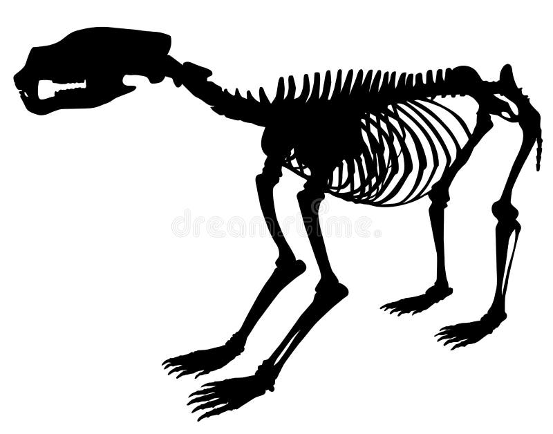 Animal Skeleton Stock Illustrations – 20,673 Animal Skeleton Stock  Illustrations, Vectors & Clipart - Dreamstime