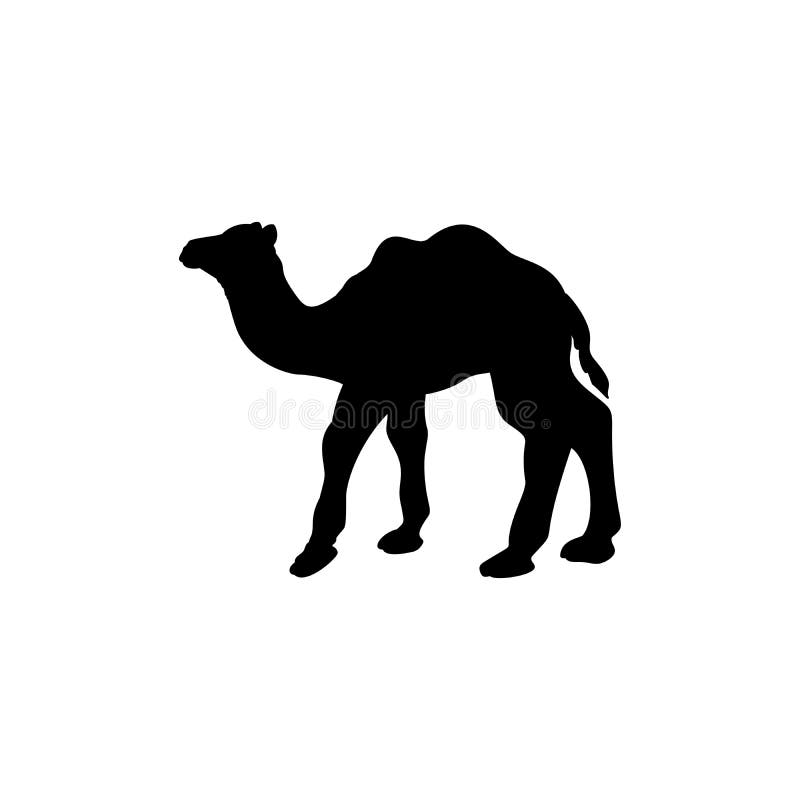 Silhouette of Small Camel. Cute Young Animal Stock Vector ...