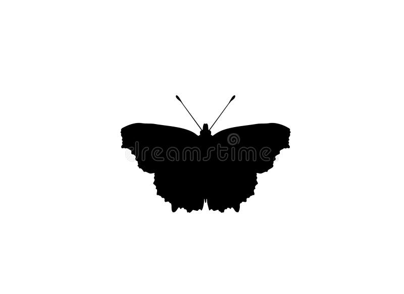 Silhouette of small tortoiseshell butterfly isolated on white background. Wings spread with full detail.