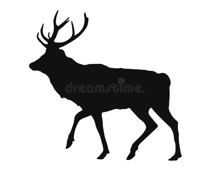 Simple black silhouette of the stag on the white background. Cheetal illustrations