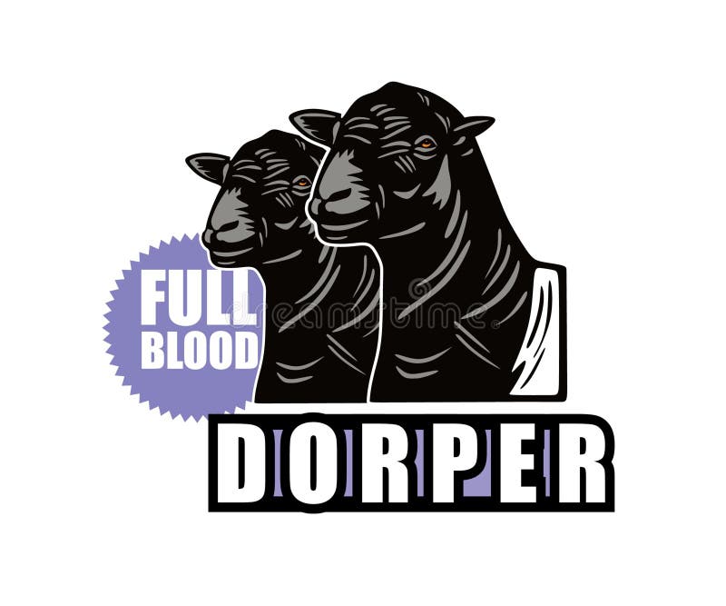 Great Dorper Sheep Fullblood Logo Stock Vector - Illustration of