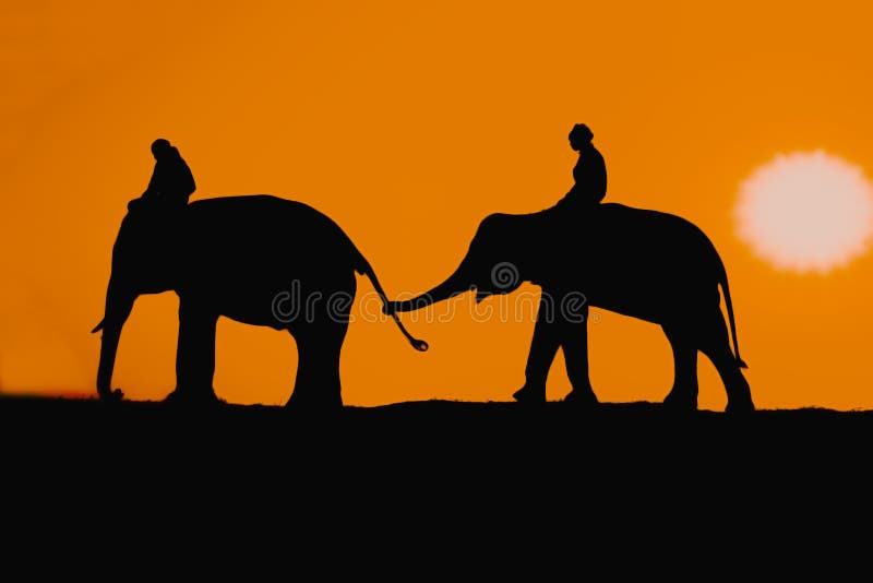 Silhouette thai elephant on sunset background stock photos Silhouette thai elephant on sunset background stock photos