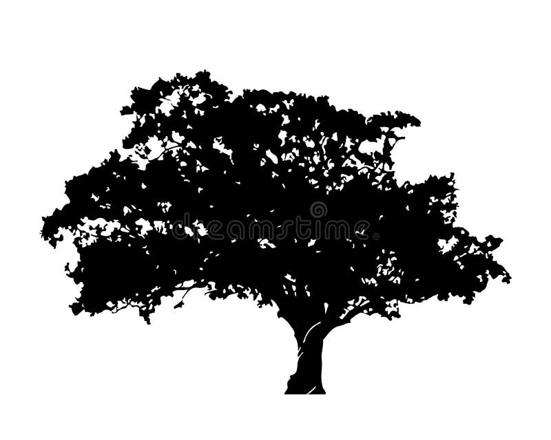 Tree Leaves Silhouette Vector Stock Illustrations – 71,335 Tree Leaves ...