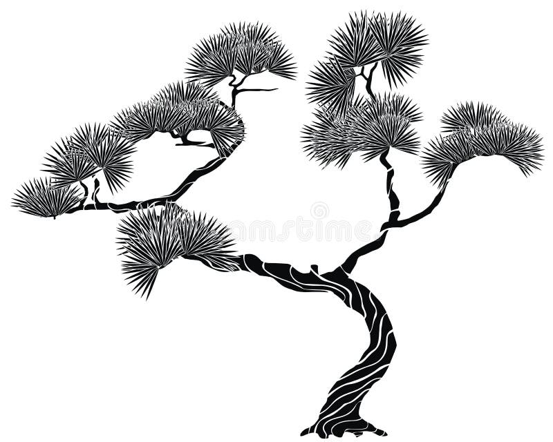 Silhouette on tree pine