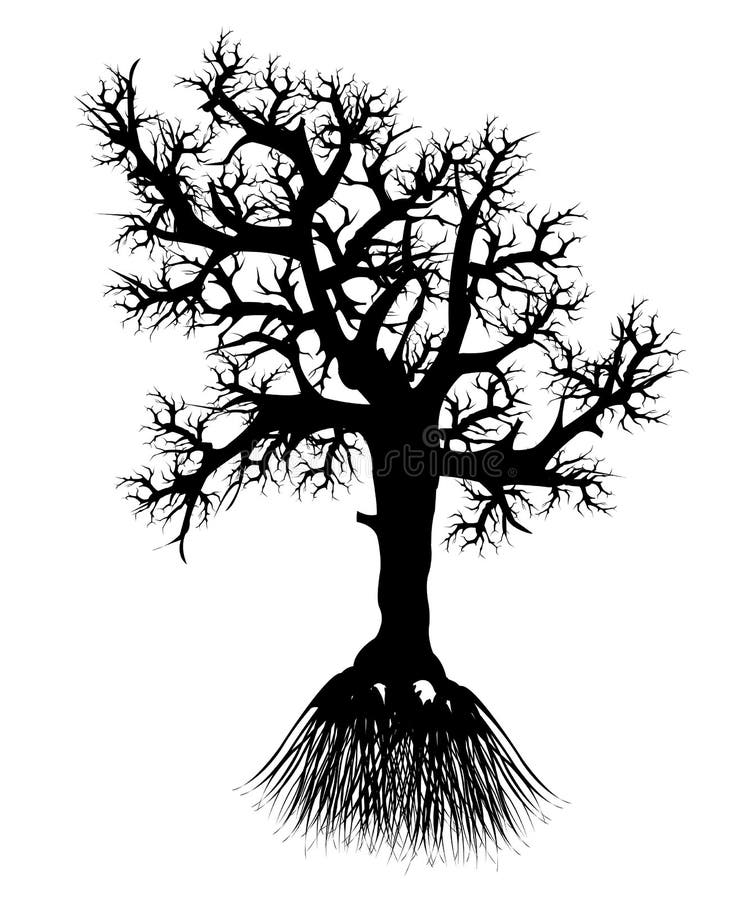 Silhouette tree with root