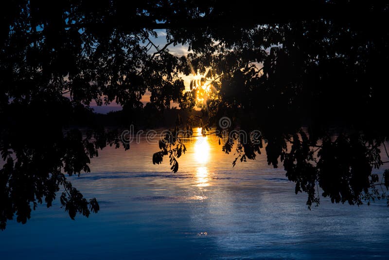 Silhouette of tree on top with river and sun flare royalty free stock images Silhouette of tree on top with river and sun flare royalty free stock images
