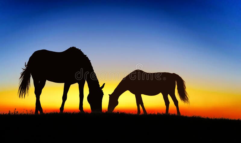 Silhouette horses stock image. Image of jump, dust, male - 25325641