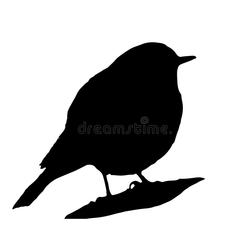 The silhouette vector illustration of black redstart bird in white background , Phoenicurus ochruros
