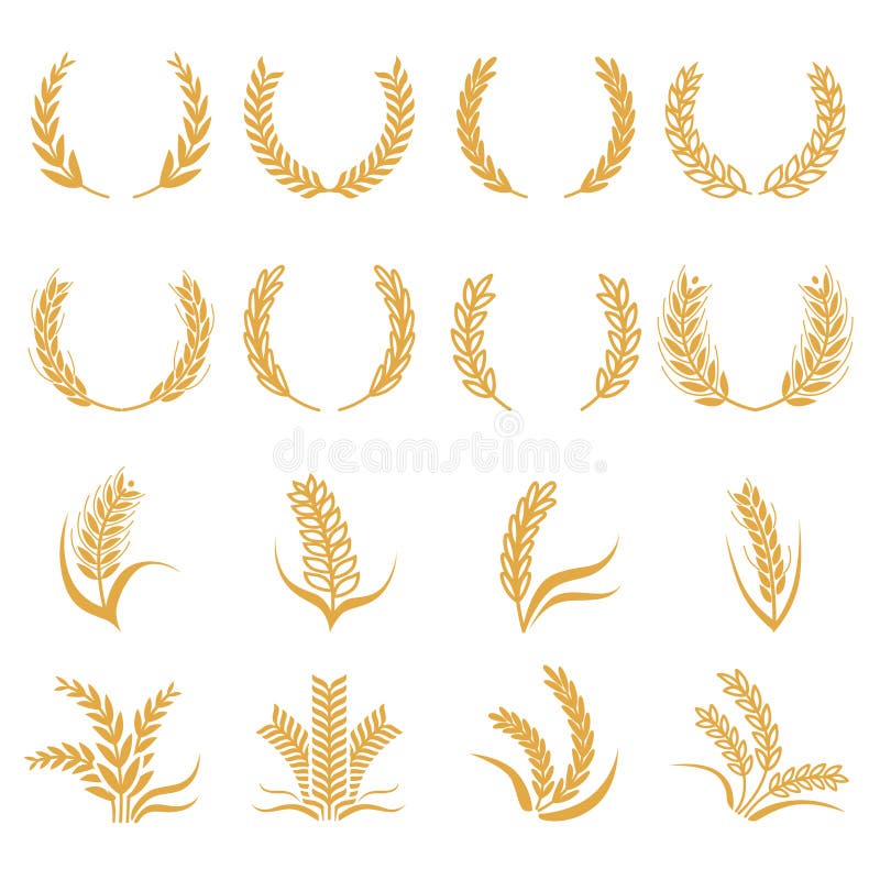 Silhouette of wheat. Corn vector symbols isolated on white