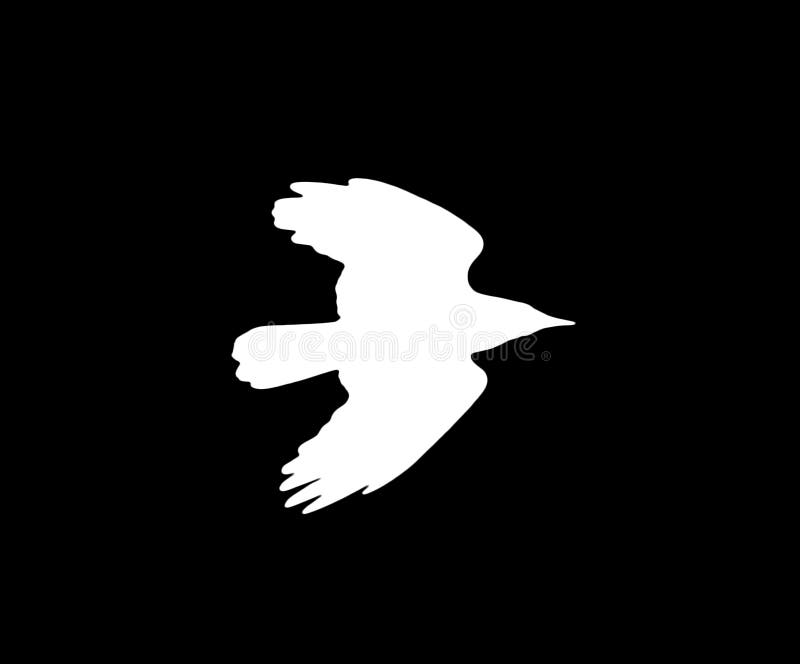 Silhouette of a white crow on a black background