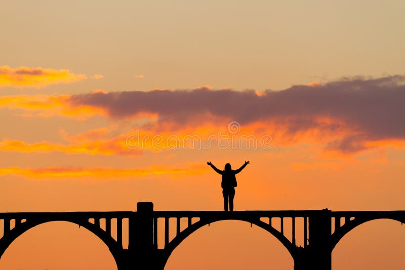 Silhouette of a woman royalty free stock photo