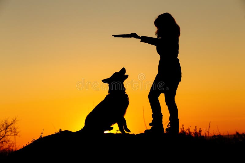 Silhouette woman walking with a dog in the field at sunset, a girl in an autumn jacket playing with pet throwing wooden stick on
