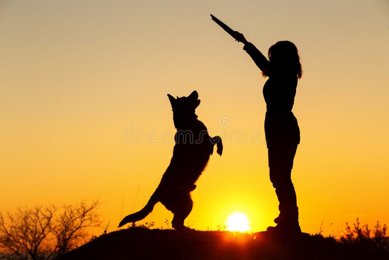 Silhouette woman walking with a dog in the field at sunset,pet jumping up for a wooden stick in the girl`s hand playing with him