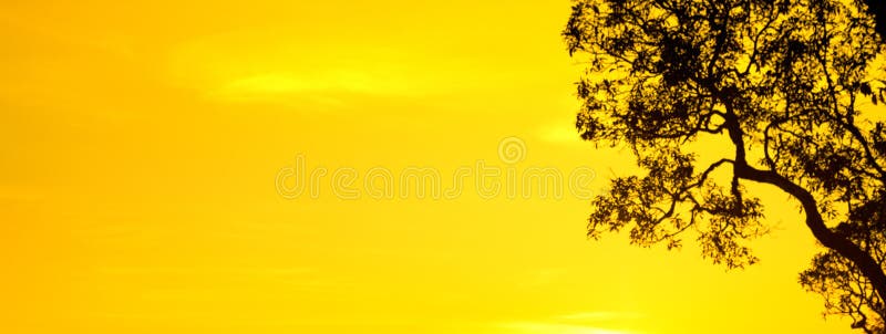 1,840,027 Yellow Sky Stock Photos - Free & Royalty-Free Stock Photos from  Dreamstime