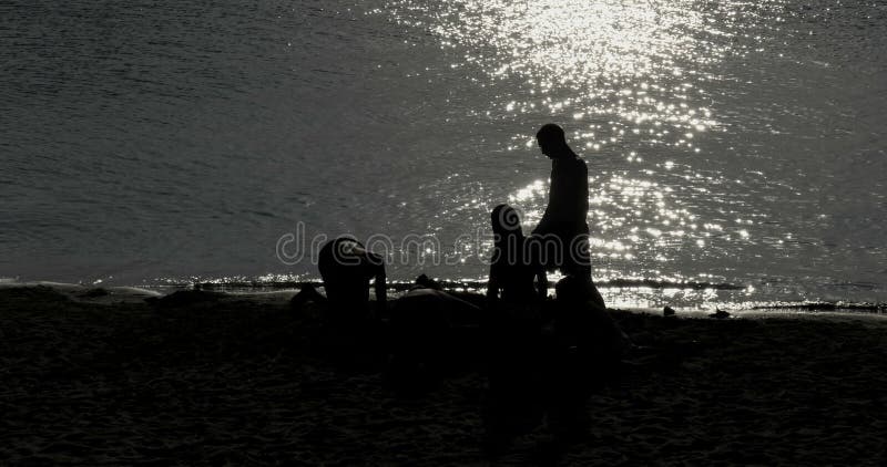 Silhouette Young Play Shore
