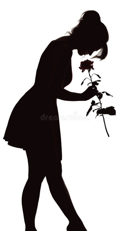 Silhouette of a young elegant woman in a dress tilted his head to the bud of rose, figure of slim beautiful girl with a flower on