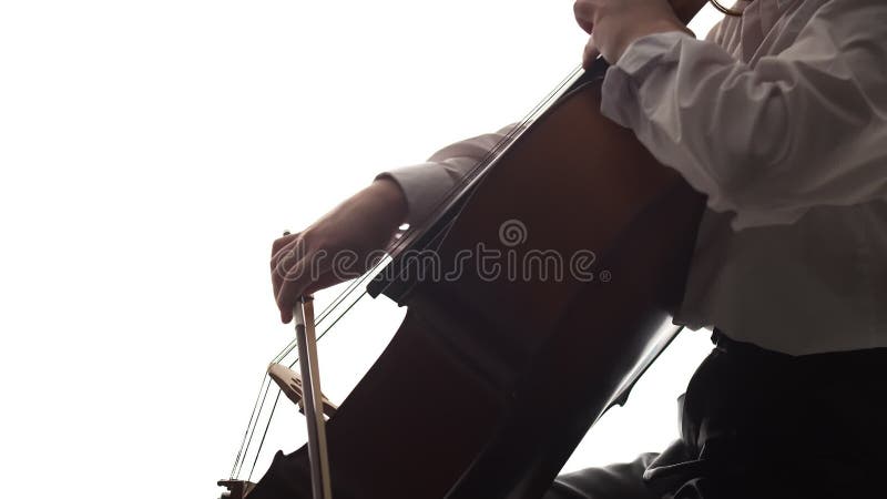 Silhouette young music college student plays cello on white background in studio, side view. Female musician plays bow stock footage