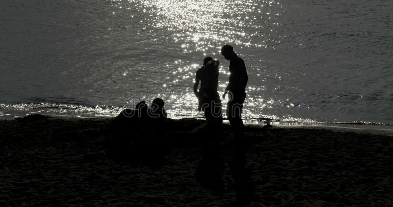 Silhouette Young Play Shore