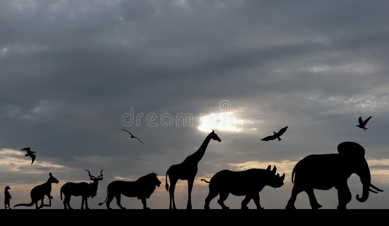 Silhouetten van dieren op blauwe bewolkte zonsondergang