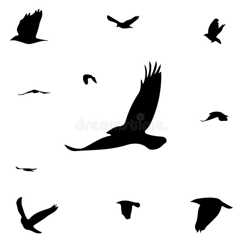 Silhouetten van vogels royalty-vrije illustratie Silhouetten van vogels royalty-vrije illustratie