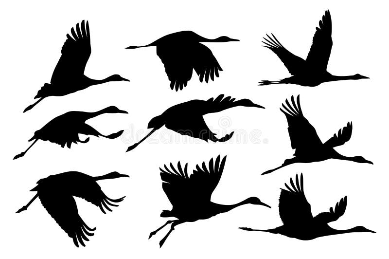 Silhouettes Flying Cranes Stock Illustrations – 30 Silhouettes Flying ...