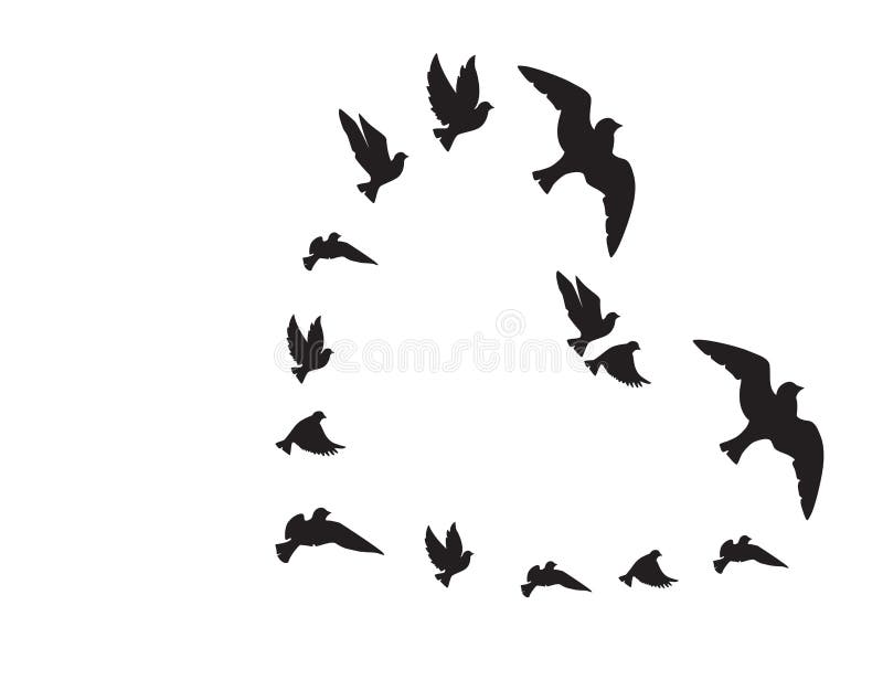 Silhouettes D Oiseaux De Vol Sous Forme De Coeur D Isolement Sur Le Blanc Vecteur Illustration Symbole De La Liberte Et De L Am Illustration De Vecteur Illustration Du Noir Illustration