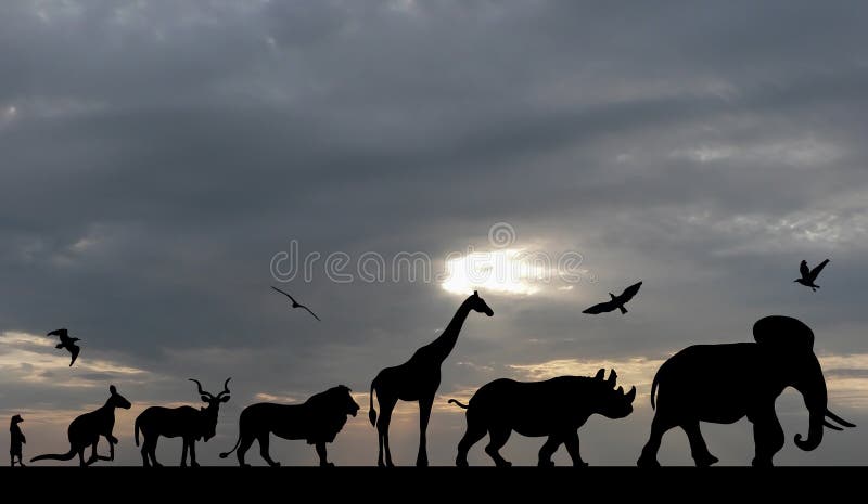 Silhouettes of animals on sea sunset with grey cloudy sky background. Silhouettes of animals on sea sunset with grey cloudy sky background