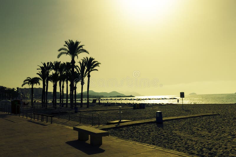 Silhouettes des palmiers sur la plage au coucher du soleil Paysage égalisant fantastique en Espagne photo libre de droits Silhouettes des palmiers sur la plage au coucher du soleil Paysage égalisant fantastique en Espagne photo libre de droits