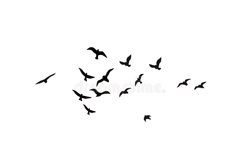 Flying Birds Silhouettes White Background Wallpaper and Background Design  Stock Vector - Illustration of birds, freedom: 224833790