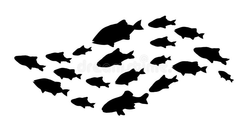 Silhouettes Of Groups Of Sea Fishes. Colony Of Small Fish. - Vector ...