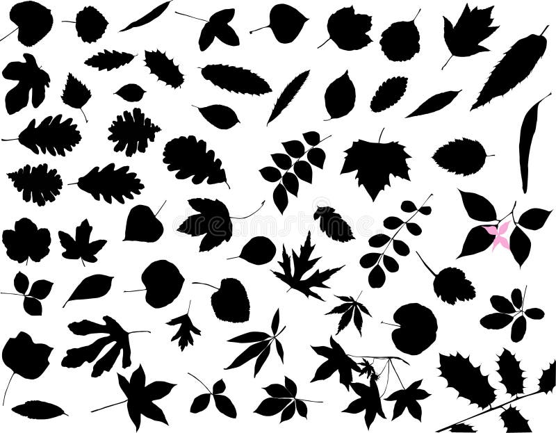 Silhouettes of leaves